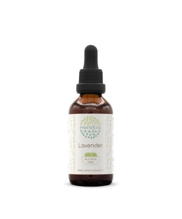 Lavender B60 Alcohol-Free Herbal Extract Tincture Concentrated Liquid Drops Natural Lavender (Lavandula X Intermedia) 2 fl oz 2 Fl Oz (Pack of 1)