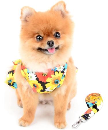 Paidful Dog Harness Dress for Small Dogs & Cats | Colorful Flower Tutu Rock Mesh Breathable Pet Clothing with 1.6m Leash - Perfect for Spring/Summer | Chihuahua Yorkie Apparel in Orange (Back Length 20cm) - Buy Online on GoSupps.com