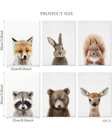 Forest Animals Poster Set - Set of 6 Children's Room Wall Art and Safari Decoration - Buy Online on GoSupps.com