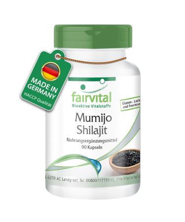Fairvital | Mumijo Shilajit - 90 capsules - with 1000mg mumijo powder per daily dose - Shilajit original Himalaya - fulvic ac