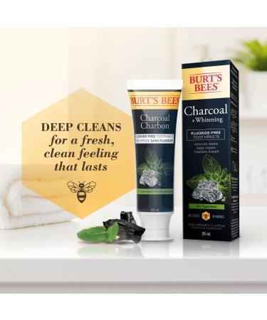 Burt's Bees Toothpaste Fluoride Free Charcoal Zen Peppermint 210 Milliliters Total (Pack of 2) Charcoal Toothpaste (Pack of 2) - Buy Online on GoSupps.com