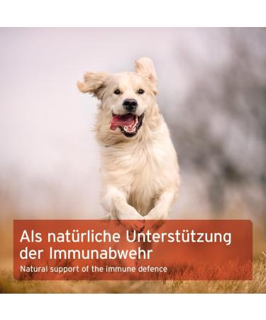 AniForte Immune Active for Dogs and Cats 250g - Herbal Blend More Vitality and Well-being Natural Defense Strengthening the Immune System Rich in Minerals - Buy Online on GoSupps.com