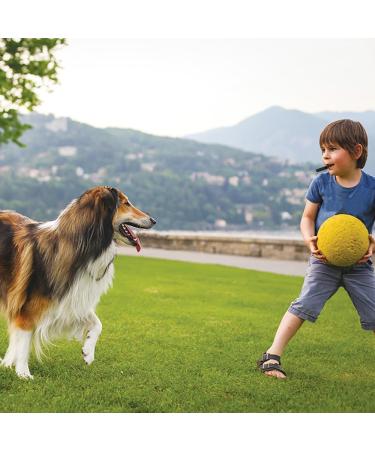 Xintangxia 21-Piece Aluminum Alloy Sport Triller Pipe Emergency Outdoor Survival Signal Pipe for Sports Referees Hiking Camping & Climbing - Buy Online on GoSupps.com