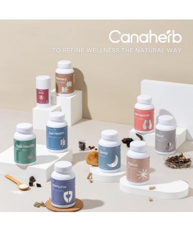 Canaherb All Natural Herbal-Based PAIN RELIEF Topical Stick | Relieves aches and pains of muscles and joints associated with backache strains and arthritis | 50g - Buy Online on GoSupps.com