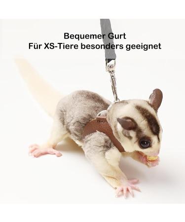 3 Pack Sugar Glider Harness and Lead Set Small Animal Training Walking Vest for Squirrel Hamster Rat (Brown) - Buy Online on GoSupps.com