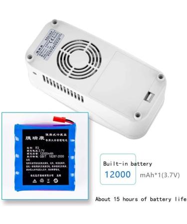15H Portable Insulin Cooler 2-8 Intelligent Constant Temperature Mini Drug Refrigerator USB Charge LED Display Drug Reefer Travel Case with Bag - Buy Online on GoSupps.com