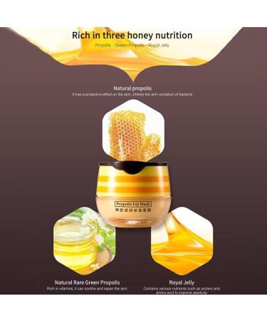 siduytin Honey Lip Balm Propolis Moisturizing Lip Mask Lip Care Women Unisex Moisturizer Lightweight Plumping Lip Gloss - Buy Online on GoSupps.com