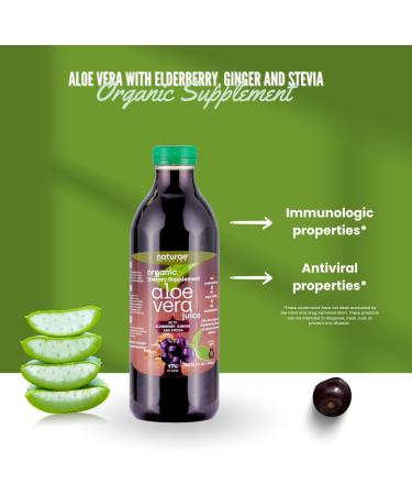 naturae Healthy Aloe Vera Juice Natural Digestive Health & Immune Support with Elderberry Ginger & Stevia Promotes Stomach Balance & Regularity 33.8 fl oz 1 unit - Buy Online on GoSupps.com