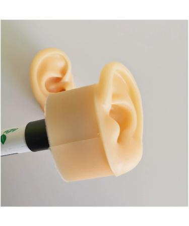 Silicone Ear Model for Acupuncture - Life Size Human Ear Model Lifelike Artificial Ear Model for Science Class Teaching Display Studs Earring Display Props - Buy Online on GoSupps.com