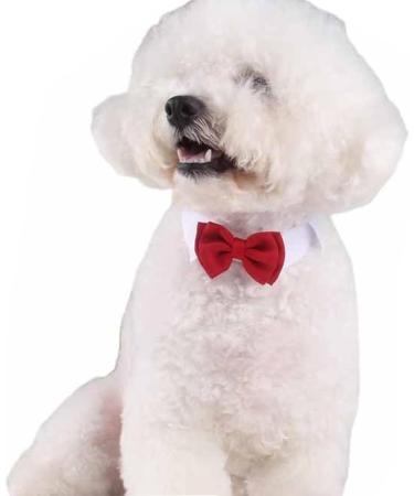 SUNTRADE Adjustable Formal Pet Bow Tie for Dogs & Cats - Wedding Costume (Large Red) | Shop Now! - Buy Online on GoSupps.com