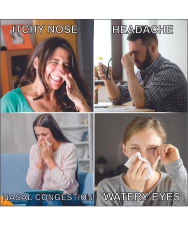 Pentrexcilina Daytime Cold & Flu Relief - 12 Tablets | Sore Throat, Fever, Congestion, Runny Nose, Sneezing, Itchy Eyes - Buy Online on GoSupps.com