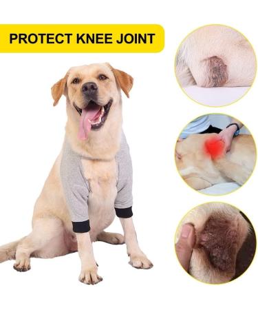 DONGKER Dog Elbow Brace Dog Recovery Sleeve Dog Elbow Bandage for Dog Knee Brace After Surgery - Buy Online on GoSupps.com