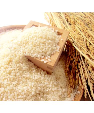 Japanese Iwate Prefecture Akitakomachi Rice - White Short Grain, 11 lb - Buy Online on GoSupps.com