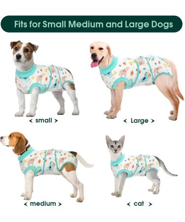 Kuoser Dog Post-Op Recovery Suit for Male Dogs - Breathable & Leakproof - Anti-Lick Body - XS Green (1 Pack) - Buy Online on GoSupps.com