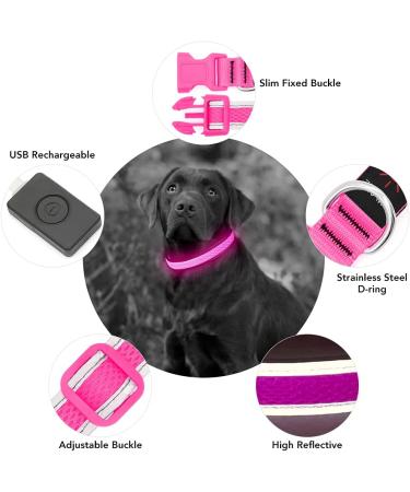 YFbrite Rechargeable LED Dog Collar - Pink Medium | Adjustable Light up Collar for Safety and Visibility at Night | Suitable for Puppy, Small, Medium, Large Dogs - Buy Online on GoSupps.com