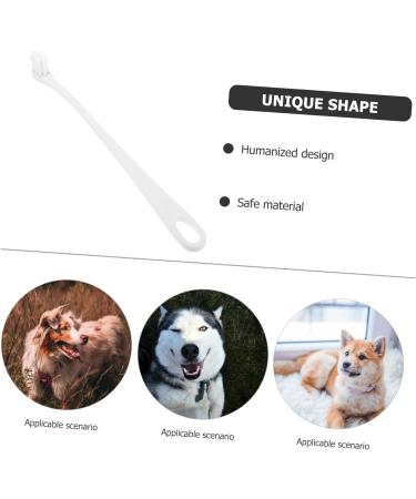 Happyyami 5pcs Pet Toothbrush Oral Cleaning Toothbrush Dog Toothbrushes Pet Supplies Toothpaste Small 1 count (Pack of 1) Whitex5pcs - Buy Online on GoSupps.com