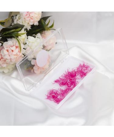 VNE 500 Colorful Premade Volume & Mega Volume Fans | Pink D Curl 6D | Single Color Box (13mm) - Buy Online on GoSupps.com