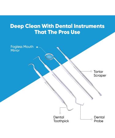 Dental Care Kit for Plaque Removal - 4 Piece Stainless Steel Set with Dentist Mirror, Tartar Scrapers, and Tooth Picks - Buy Online on GoSupps.com
