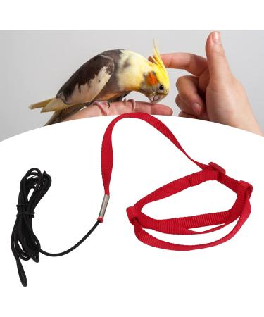 Cyrank Adjustable Bird Dishes & Leash for Nymphensittiche Alexandriner - Perfect for Outdoor Training & Activities - Buy Online on GoSupps.com