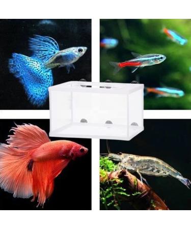 BRYHZKCM 2pcs Fish Hatchery Breeder Box - Large 10x6x6 Nylon Mesh Separation Net with Suction Cup - Buy Online on GoSupps.com