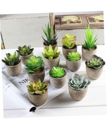 MAGICLULU 2pcs Faux Plant Simulation Plant Small Succulent Plants Home D cor Succulent Simulation Succulents Arrangements Suculentas Artificial Plants Decorative Plants Mini Cactus - Buy Online on GoSupps.com