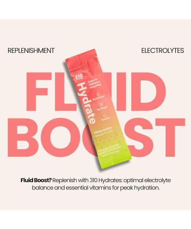310 Shake Chocolate Bliss + Hydrate Watermelon Bundle Plant-Based Meal Replacement with Superfoods & Electrolytes Keto Friendly Sugar-Free 28 Shake Servings + 30 Hydration Packets - Buy Online on GoSupps.com