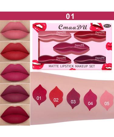 FAEYLI 5Pcs Matte Velvet Lipstick Set | Long Lasting Lip Stain (Lipstick Set 01) - Buy Online on GoSupps.com