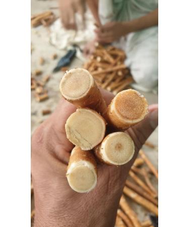 Buy XXL Miswak Siwak - Thick Meswak Pieces | Vegan Wood Toothbrush from Salvadora Persica | Natural Teeth Cleaning - Buy Online on GoSupps.com