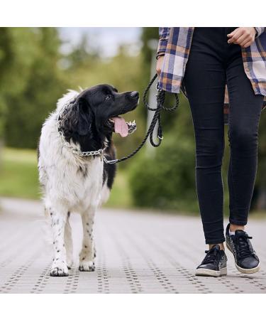 NAVESO Metal Choke Chain for Dog Prong Collar for Dogs Dog Training Collar Anti Bark Collars for Dogs Adjustable Dogs Collars with Comfort Rubber Tips 4mmx60cm for Large Medium Small Dogs - Buy Online on GoSupps.com