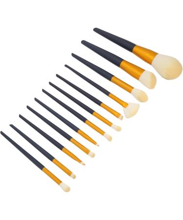 12 Piece Professional Makeup Brushes Set with Synthetic Fiber Hair Easy Application Precise Results Powder Eyeshadow Blush Highlighting Brushes - Buy Online on GoSupps.com