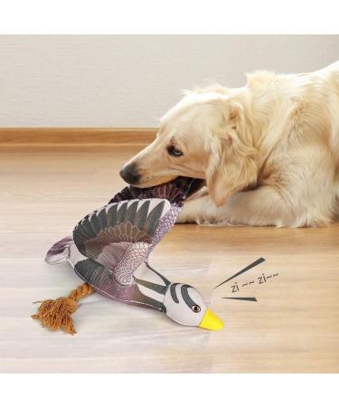 Shop Aquatic Human Squeaky Dog Toys - Crocodile Parrot Lizard & Wild Goose for All Dog Sizes - Buy Online on GoSupps.com
