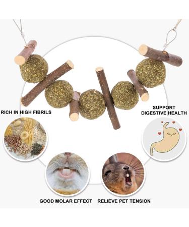 tiopeia 2 Pack Bunny Chew Toys for Teeth Molar Rabbit Toys Hamster Chew Toys Sticks Pet Chew Toy for Rabbits Chinchillas Hamsters Chewing or Playing - Buy Online on GoSupps.com
