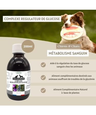 Glucose Regulator 200ml for Dogs and Cats - Natural Support for Blood Sugar Control of Metabolic Health Essential Food Supplement - Buy Online on GoSupps.com