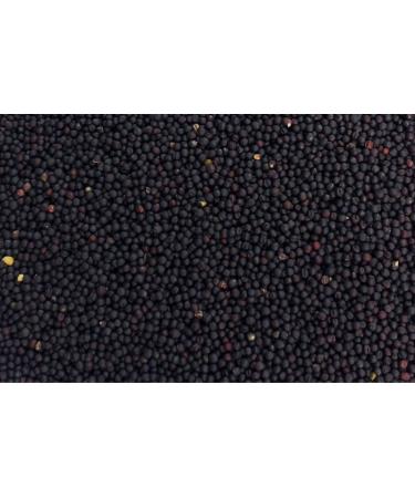 Rapeseed Pillow 12x12cm in Mango - Heat & Cold Therapy Grain Pillow for Comfort - Buy Online on GoSupps.com