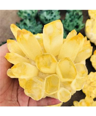 Natural Yellow Ghost Phantom Quartz Crystal Cluster Healing Specimen Home Decoration Office Living Room Crystal Decora Reiki Crystals Crystal Cluster (Size : 350-400g) - Buy Online on GoSupps.com