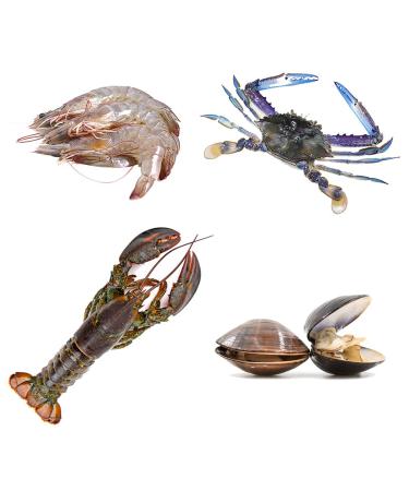 Seafood Boil Box 1 | 4 Ingredients| Lobster| Blue Crabs | Shrimp |Clams |4.2kg