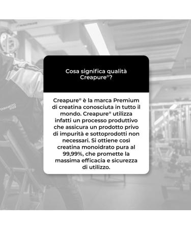 YAMAMOTO NUTRITION Crea POWDER Creapure 500 grams Creapure Quality Creatine Monohydrate Increase Physical Performance - Buy Online on GoSupps.com