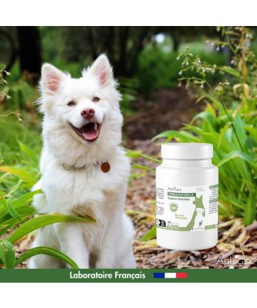 APHICARE - Intestinal hygiene - Intestinal comfort - 20 capsules - Brewer's yeast - 3 plant extracts - Food supplement - Dog and puppy - Made in France - Buy Online on GoSupps.com