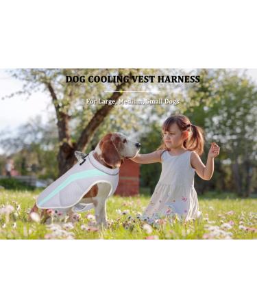 Shop Dog Cooling Vest - Breathable Mesh Jacket for All Dog Sizes | Adjustable & Reflective Stripes - Ideal for Outdoor Activities - Buy Online on GoSupps.com