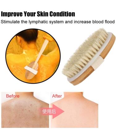 Sonew Long Stem Bathing Brush | Shower Peeling Cellulite Scrub | Removable Bamboo Grip & Soft Bristles for Men & Women - Buy Online on GoSupps.com