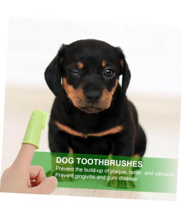 BESPORTBLE 1 Set Pet Toothbrush Dog Toothbrushes Dog Toothbrush and Toothpaste 360 Dog Toothbrush Tools Pp - Buy Online on GoSupps.com