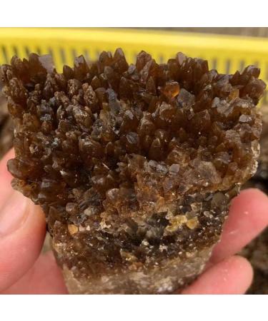 Crystal Natural Yellow Amber Calcite Rough Crystal Stone Collection Rough Rock Specimen Home Decor (Size : 60-100g) - Buy Online on GoSupps.com
