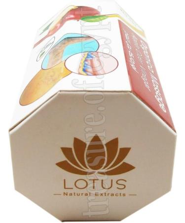 Lotus Massage Herbal Apple Cider Vinegar Ointment - 150 gm (5.2 oz) | Natural Pain Relief & Soothing Massage Balm | International Shipping Available - Buy Online on GoSupps.com
