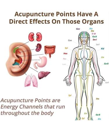 Buy Earallure Magnetic Earrings - Lymphetox Magnetotherapy Weight Loss Crystal Therapy Non-Piercing Acupressure Earrings for Men & Women - Silver - Buy Online on GoSupps.com