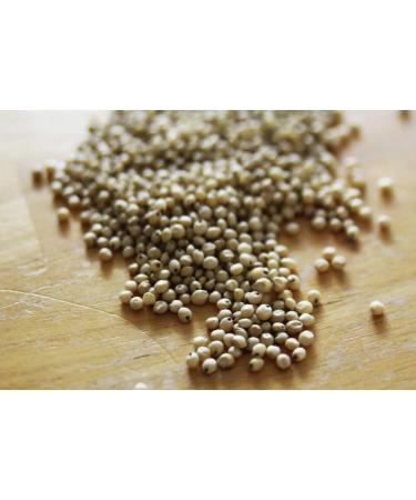 Whole Sorghum Seeds (Juwar Whole) by Masala Cottage 50g-1.9kg (90g)