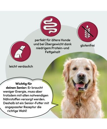 GRAU L'Original Croquettes For Senior Dogs Poultry Pack Of 1 (1 x 12 kg) Gluten Free For Sensitive Senior Dogs - Buy Online on GoSupps.com