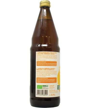 Kombucha Original Bio 750 ml - Buy Online on GoSupps.com