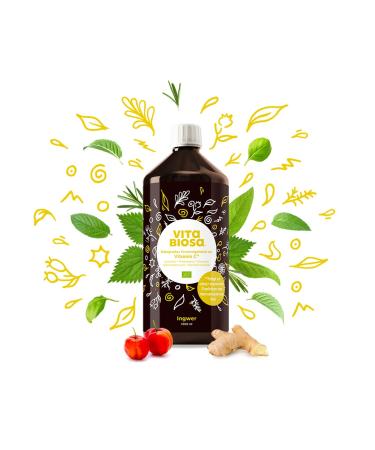 Vita Biosa Ginger + Vitamin C 1 liter in organic quality - Extra portion ginger for the refreshing flavors - fermented food based on lactic acid bacteria and herbs 1 l (1 Pack) - Buy Online on GoSupps.com