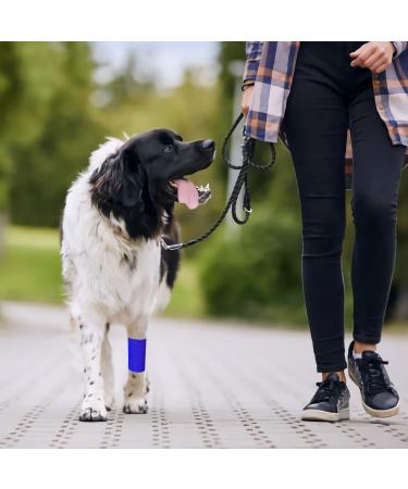6 Rolls Cohesive Bandage 10cm X 4.5m Vet Wrap For Horses Self Adherent Vet Wrap & Pet Wrap Blue Dog Bandages Football Sock Wrap & Shin Guard Tape For Wrist & Ankle Sprains Swelling & Compression - Buy Online on GoSupps.com