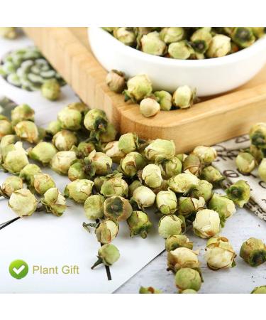 PlantGift Snow Plum Blossom Tea 60G/2.11oz Blossom Tea Flower Chinese Dried Plums Health Tea - Buy Online on GoSupps.com